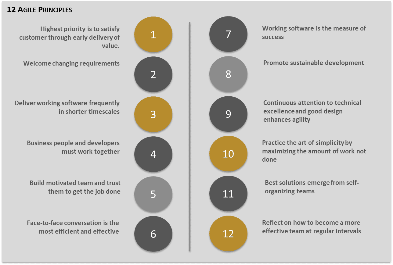 Top 5 Principles in Becoming 'Agile' During Digital ...